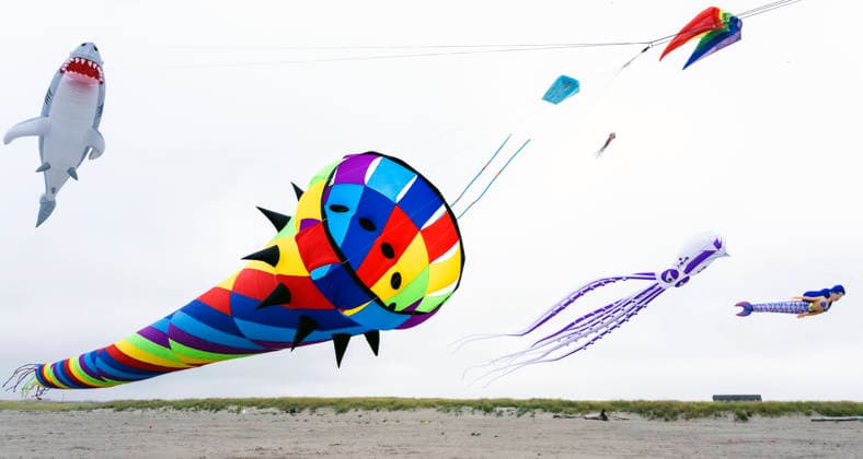 August 21,, 2026 - Long Beach, Washington , USA: The Washington State International Kite Festival is a week-long celebration of kites and kite flying. Held annually during the third full week of August, the prevailing winds off the Pacific Ocean usually provide ample lift for the outsized kites. Long Beach USA  - ZUMAce6_ 20260821_zaf_ce6_033 Copyright: xBrianxCahnx