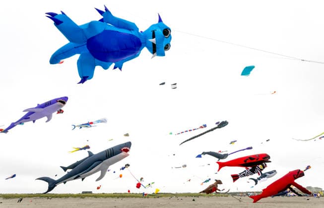 August 21,, 2026 - Long Beach, Washington , USA: The Washington State International Kite Festival is a week-long celebration of kites and kite flying. Held annually during the third full week of August, the prevailing winds off the Pacific Ocean usually provide ample lift for the outsized kites. Long Beach USA - ZUMAce6_ 20260821_zaf_ce6_010 Copyright: xBrianxCahnx