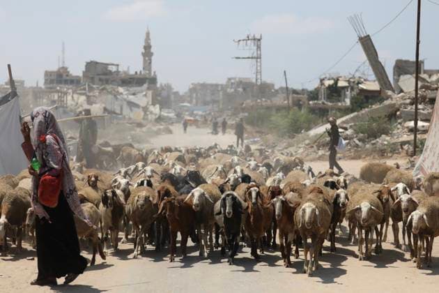 Palestinians Tend Livestock Amid War Damage in Central Gaza Palestinians tend sheep and camels near tents and destroyed buildings in the al-Mughraqa area of the central Gaza Strip on August 22, 2026. Residents continue their daily activities amid rubble and widespread destruction left by the war. Photo by Hassan al-Jedi apaimages Nusairat Gaza Strip Palestinian Territory 220826_Mughraqa_HJ_00(33).jpeg Copyright: xapaimagesxHassanxal-Jedixx xapaimagesx
