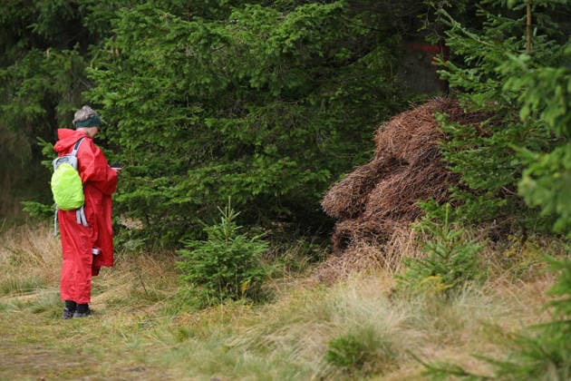 The Land and Art festival draws artists from the Czech Republic and Germany - sculptors, woodcarvers, photographers, painters and others who can contribute to the revitalization of the abandoned settlement in Konigsmuhle or King s Mill in Haj, Czech-German border, Czech Republic, August 22, 2026. The event includes workshops, lectures and film screenings focussing on the landscape and history of this area. In most cases, the works of art made here are linked to the history of Konigsmuhle. (CTKxPhoto SlavomirxKubes) CTKPhotoP2026082203410  CTKPhotoP2026082203410