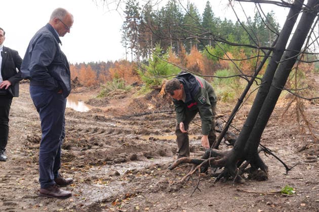 Bundeskanzler Merz besucht Waldbrandgebiet Huertgenwald Der Foerster Jan-Valentin Wiesmeyer zeigt Bundeskanzler Friedrich Merz einen verbrannten Wurzeln eines Baum und die Folgen des Bandes bei der Besichtigung des ehemaligen Waldbrandgebiet in Huertgenwald, , 22.08.2026 Huertgenwald (Kreis Dueren) Nordrhein-Westfalen Deutschland *** Chancellor Merz Visits the Huertgenwald Forest Fire Site. Forester Jan Valentin Wiesmeyer shows Chancellor Friedrich Merz the charred roots of a tree and the aftermath of the fire during a tour of the former forest fire site in Huertgenwald, , August 22, 2026, Huertgenwald, Düren District, North Rhine-Westphalia, Germany