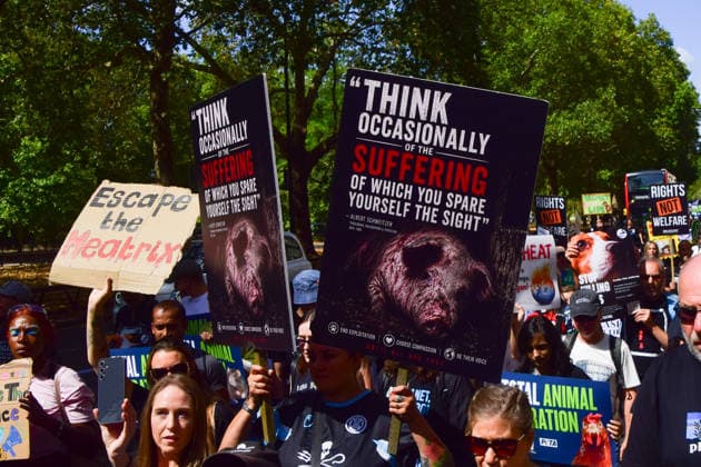 August 22, 2026, London, England, United Kingdom: Protesters pass through Park Lane during the National Animal Rights March. Animal rights activists, protesters, and members of various organisations marched through Central London in support of animal rights, in protest against all forms of animal exploitation, and urged people to go vegan. London United Kingdom  - ZUMAv130 20260822_zip_v130_030 Copyright: xVukxValcicx