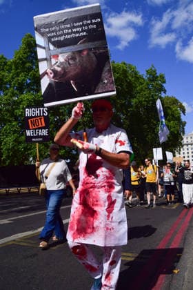 August 22, 2026, London, England, United Kingdom: Protesters pass through Park Lane during the National Animal Rights March. Animal rights activists, protesters, and members of various organisations marched through Central London in support of animal rights, in protest against all forms of animal exploitation, and urged people to go vegan. London United Kingdom  - ZUMAv130 20260822_zip_v130_037 Copyright: xVukxValcicx