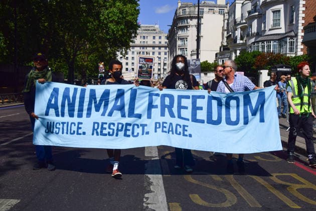August 22, 2026, London, England, United Kingdom: Protesters pass through Park Lane during the National Animal Rights March. Animal rights activists, protesters, and members of various organisations marched through Central London in support of animal rights, in protest against all forms of animal exploitation, and urged people to go vegan. London United Kingdom  - ZUMAv130 20260822_zip_v130_052 Copyright: xVukxValcicx