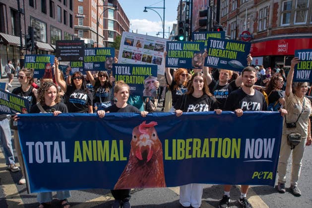 August 22, 2026, London, United Kingdom: PETA (People for the Ethical Treatment of Animals) activists hold a banner and placards during the demonstration. Animal rights activists gathered in central London, UK to march on the 10th National Animal Rights March (NARM). During the march the protesters raise awareness to treat the animals fairly and not being used as a property or resources. London United Kingdom  - ZUMAs197 20260822_aaa_s197_365 Copyright: xKrisztianxElekx