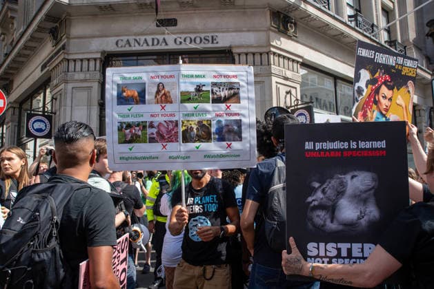 August 22, 2026, London, United Kingdom: Activists hold placards outside the Canada Goose store during the demonstration. Animal rights activists gathered in central London, UK to march on the 10th National Animal Rights March (NARM). During the march the protesters raise awareness to treat the animals fairly and not being used as a property or resources. London United Kingdom - ZUMAs197 20260822_aaa_s197_366 Copyright: xKrisztianxElekx