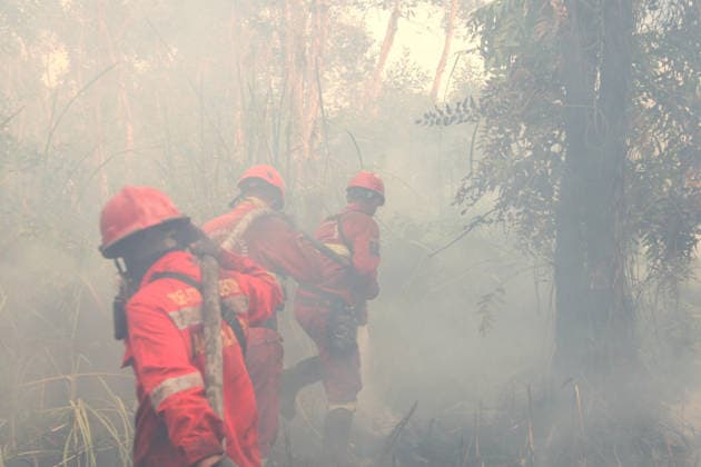 Indonesian firefighters battle wildfires in South Sumatra OGAN ILIR, INDONESIA - AUGUST 22: Indonesian firefighters from Manggala Agni try to extinguish wildfires in Pamulutan Regency, Ogan Ilir, South Sumatra, Indonesia, on August 22, 2026. Indonesian President Prabowo Subianto personally inspected the wildfires in Kalimantan on August 22 and instructed swift, integrated and simultaneous efforts to address the fires. These instructions included increasing the number of field personnel, deploying more than 17 additional water-bombing helicopters, and deploying 1,500 additional Indonesian National Armed Forces (TNI) personnel. Muhammad Fajri Anadolu South Sumatra Indonesia. Editorial use only. Please get in touch for any other usage.  Copyright: x2026xAnadoluxMuhammadxFajrix