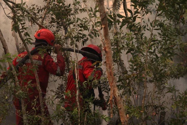 Indonesian firefighters battle wildfires in South Sumatra OGAN ILIR, INDONESIA - AUGUST 22: Indonesian firefighters from Manggala Agni try to extinguish wildfires in Pamulutan Regency, Ogan Ilir, South Sumatra, Indonesia, on August 22, 2026. Indonesian President Prabowo Subianto personally inspected the wildfires in Kalimantan on August 22 and instructed swift, integrated and simultaneous efforts to address the fires. These instructions included increasing the number of field personnel, deploying more than 17 additional water-bombing helicopters, and deploying 1,500 additional Indonesian National Armed Forces (TNI) personnel. Muhammad Fajri Anadolu South Sumatra Indonesia. Editorial use only. Please get in touch for any other usage.  Copyright: x2026xAnadoluxMuhammadxFajrix