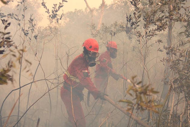Indonesian firefighters battle wildfires in South Sumatra OGAN ILIR, INDONESIA - AUGUST 22: Indonesian firefighters from Manggala Agni try to extinguish wildfires in Pamulutan Regency, Ogan Ilir, South Sumatra, Indonesia, on August 22, 2026. Indonesian President Prabowo Subianto personally inspected the wildfires in Kalimantan on August 22 and instructed swift, integrated and simultaneous efforts to address the fires. These instructions included increasing the number of field personnel, deploying more than 17 additional water-bombing helicopters, and deploying 1,500 additional Indonesian National Armed Forces (TNI) personnel. Muhammad Fajri Anadolu South Sumatra Indonesia. Editorial use only. Please get in touch for any other usage.  Copyright: x2026xAnadoluxMuhammadxFajrix