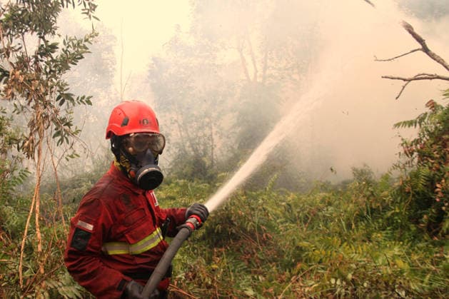 Indonesian firefighters battle wildfires in South Sumatra OGAN ILIR, INDONESIA - AUGUST 22: An Indonesian firefighter from Manggala Agni tries to extinguish wildfires in Pamulutan Regency, Ogan Ilir, South Sumatra, Indonesia, on August 22, 2026. Indonesian President Prabowo Subianto personally inspected the wildfires in Kalimantan on August 22 and instructed swift, integrated and simultaneous efforts to address the fires. These instructions included increasing the number of field personnel, deploying more than 17 additional water-bombing helicopters, and deploying 1,500 additional Indonesian National Armed Forces (TNI) personnel. Muhammad Fajri Anadolu South Sumatra Indonesia. Editorial use only. Please get in touch for any other usage.  Copyright: x2026xAnadoluxMuhammadxFajrix