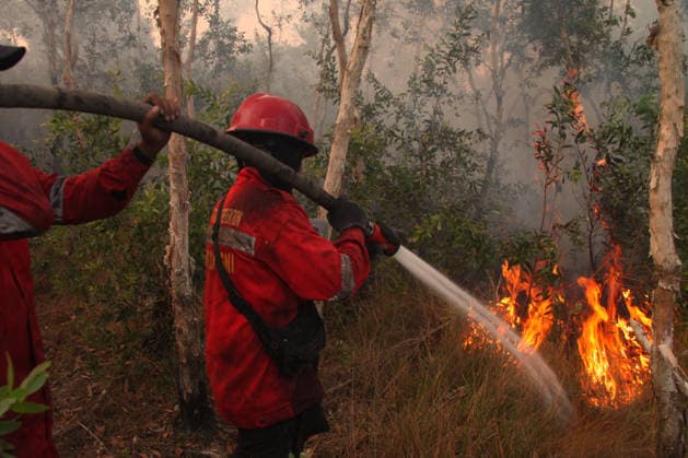 Indonesian firefighters battle wildfires in South Sumatra OGAN ILIR, INDONESIA - AUGUST 22: Indonesian firefighters from Manggala Agni try to extinguish wildfires in Pamulutan Regency, Ogan Ilir, South Sumatra, Indonesia, on August 22, 2026. Indonesian President Prabowo Subianto personally inspected the wildfires in Kalimantan on August 22 and instructed swift, integrated and simultaneous efforts to address the fires. These instructions included increasing the number of field personnel, deploying more than 17 additional water-bombing helicopters, and deploying 1,500 additional Indonesian National Armed Forces (TNI) personnel. Muhammad Fajri Anadolu South Sumatra Indonesia. Editorial use only. Please get in touch for any other usage.  Copyright: x2026xAnadoluxMuhammadxFajrix