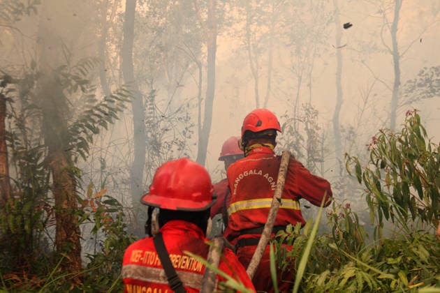 Indonesian firefighters battle wildfires in South Sumatra OGAN ILIR, INDONESIA - AUGUST 22: Indonesian firefighters from Manggala Agni try to extinguish wildfires in Pamulutan Regency, Ogan Ilir, South Sumatra, Indonesia, on August 22, 2026. Indonesian President Prabowo Subianto personally inspected the wildfires in Kalimantan on August 22 and instructed swift, integrated and simultaneous efforts to address the fires. These instructions included increasing the number of field personnel, deploying more than 17 additional water-bombing helicopters, and deploying 1,500 additional Indonesian National Armed Forces (TNI) personnel. Muhammad Fajri Anadolu South Sumatra Indonesia. Editorial use only. Please get in touch for any other usage.  Copyright: x2026xAnadoluxMuhammadxFajrix