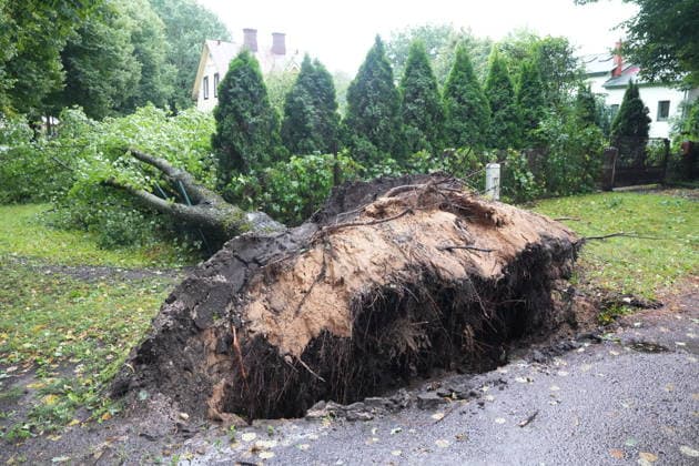 (260823) -- RIGA, Aug. 23, 2026 -- This photo taken on Aug. 23, 2026 shows the aftermath of a powerful storm in Riga, Latvia. A powerful cyclone swept northward across the three Baltic states on Saturday, killing two as strong winds, torrential rain and thunderstorms ravaged Lithuania, Latvia and Estonia. Meteorological data showed Saturday s storm was the most destructive to hit Latvia since January 2005. (Photo by Xinhua) LATVIA-RIGA-STORM-AFTERMATH EdijsxPalens 