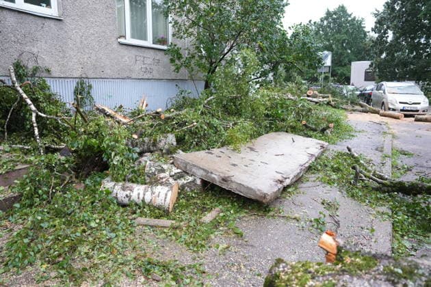 (260823) -- RIGA, Aug. 23, 2026 -- This photo taken on Aug. 23, 2026 shows the aftermath of a powerful storm in Riga, Latvia. A powerful cyclone swept northward across the three Baltic states on Saturday, killing two as strong winds, torrential rain and thunderstorms ravaged Lithuania, Latvia and Estonia. Meteorological data showed Saturday s storm was the most destructive to hit Latvia since January 2005. (Photo by Xinhua) LATVIA-RIGA-STORM-AFTERMATH EdijsxPalens 