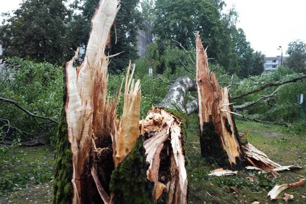 August 23, 2026, Riga, Latvija: The aftermath of a powerful storm is seen in Riga, Latvia, Aug. 23, 2026. Fallen and uprooted trees are scattered across residential areas, damaging parked cars, blocking roads and walkways, and posing a threat to nearby buildings. The storm, which swept across Latvia on Saturday evening and overnight, caused widespread damage across the country, with Riga recording the highest number of reports of storm-related incidents. As of Sunday morning, emergency services had received nearly 1,900 reports of damage caused by strong winds nationwide. Riga Latvija - ZUMAp305 20260823_zip_p305_021 Copyright: xEdijsxPalensx