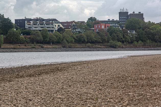 Blick auf das ausgetrocknete Flussbett des Rheins und Porz auf der rechten Rheinseite, gesehen vom Weißer Rheinbogen bei Köln-Sürth. Von den Tiefstständen haben sich die Pegelständde am Rhein inzwischen wieder leicht entfernt. Niedrigwasser Rhein *** View of the dried-up Rhine riverbed and Porz on the right bank of the Rhine, seen from the Weißer Rheinbogen near Cologne-Sürth. Water levels on the Rhine have since risen slightly from their lowest points. Low water on the Rhine