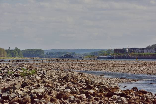 23.8.2026 Dürre Der extrem niederige Wasserstand des Rhein. Große Teile des Binger Lochs an de Nahemündung liegen trocken. Die Menschen spazieren dort wo sonst meterhoch das Wasser fließt. Die Fahrrinne für die Schifffahrt ist nur eingeschränkt nutzbar. Bingen Rhein Rheinland Pfalz Deutschland *** August 23, 2026 Drought The water level of the Rhine is extremely low. Large parts of the Binger Loch at the mouth of the Nahe are dry. People are walking where the water would normally flow meters high. The shipping channel is only partially usable. Bingen, Rhine, Rhineland-Palatinate, Germany