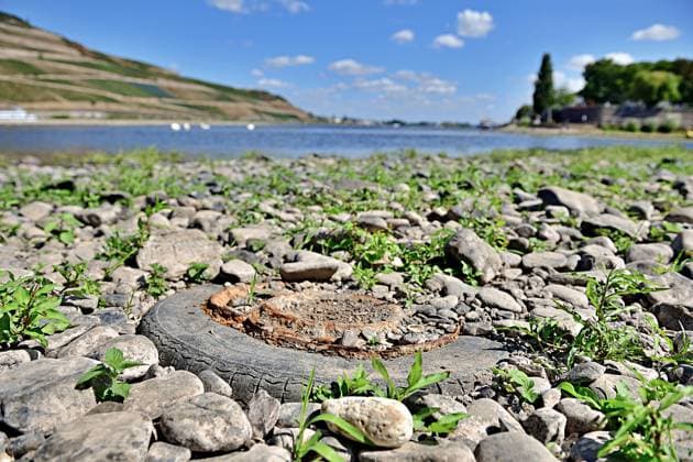 23.8.2026 Dürre Der extrem niederige Wasserstand des Rhein. Große Teile des Binger Lochs an de Nahemündung liegen trocken. Die Menschen spazieren dort wo sonst meterhoch das Wasser fließt. Die Fahrrinne für die Schifffahrt ist nur eingeschränkt nutzbar. Bingen Rhein Rheinland Pfalz Deutschland *** August 23, 2026 Drought The water level of the Rhine is extremely low. Large parts of the Binger Loch at the mouth of the Nahe River are dry. People are walking where the water would normally flow several meters high. The shipping channel is only partially usable. Bingen, Rhine, Rhineland-Palatinate, Germany