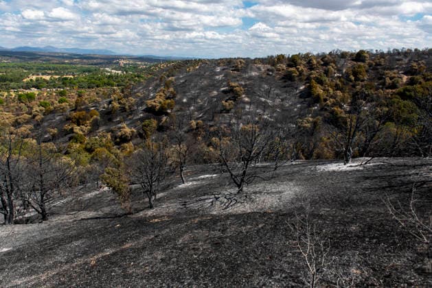 A wildfire in Aldea del Fresno, Madrid, forces the evacuation of this town and Villamantilla Vista after the fire passed through, on August 23, 2026, in Aldea del Fresno, Madrid, Spain. The wildfire that originated in Aldea del Fresno was downgraded from Operational Level 1 to Level 0 under the Civil Protection Plan on August 20 following a very favorable progression of the fire. AUGUST 23, 2026 FIRE EMbers BURNT LAND NATURE ÁBURNT TREES CHARRED FIRE SIERRA OESTE FIRE S PATH BURNT LANDSCAPE LANDSCAPE Aldea del Fresno Madrid Aldea del Fresno Madrid, Spain  Copyright: xGabrixSolerax 7728928
