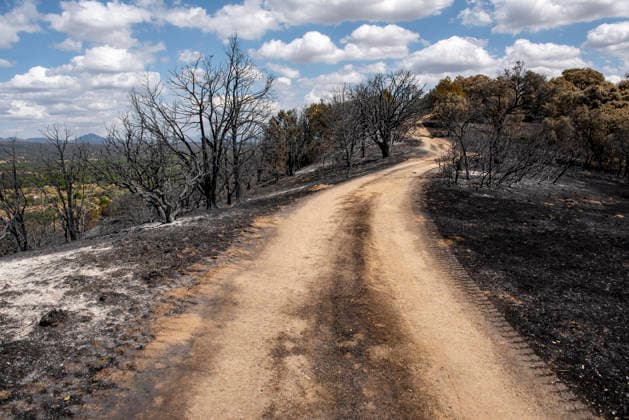 A wildfire in Aldea del Fresno, Madrid, forces the evacuation of this town and Villamantilla Vista after the fire passed through, on August 23, 2026, in Aldea del Fresno, Madrid, Spain. The wildfire that originated in Aldea del Fresno was downgraded from Operational Level 1 to Level 0 under the Civil Protection Plan on August 20 following a very favorable progression of the fire. AUGUST 23, 2026 FIRE EMbers BURNT LAND NATURE ÁBURNT TREES CHARRED FIRE SIERRA OESTE FIRE S PATH BURNT LANDSCAPE LANDSCAPE Aldea del Fresno Madrid Aldea del Fresno Madrid, Spain  Copyright: xGabrixSolerax 7728932