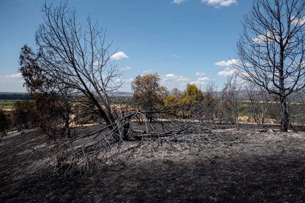 A wildfire in Aldea del Fresno, Madrid, forces the evacuation of this town and Villamantilla Vista after the fire passed through, on August 23, 2026, in Aldea del Fresno, Madrid, Spain. The wildfire that originated in Aldea del Fresno was downgraded from Operational Level 1 to Level 0 under the Civil Protection Plan on August 20, following a very favorable progression of the fire. AUGUST 23, 2026 FIRE EMAKES BURNT LAND NATURE ABURNT TREES CHARRED FIRE WESTERN MOUNTAINS FIRE S PATH BURNT LANDSCAPE LANDSCAPE Aldea del Fresno Madrid Aldea del Fresno Madrid, Spain  Copyright: xGabrixSolerax 7728935