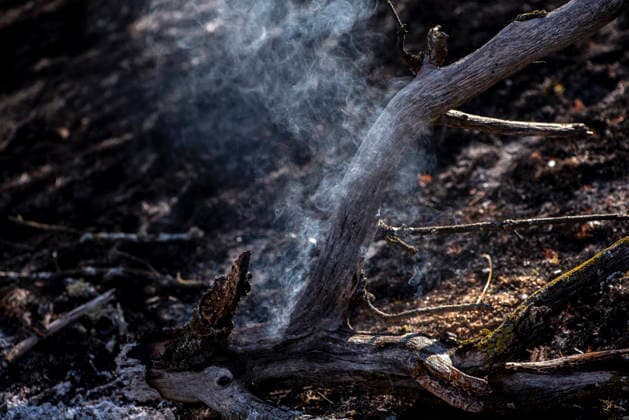 A wildfire in Aldea del Fresno, Madrid, forces the lockdown of that town and Villamantilla A smoking tree, on August 23, 2026, in Aldea del Fresno, Madrid, Spain. The wildfire that originated in Aldea del Fresno was downgraded from Operational Level 1 to Level 0 of the Civil Protection Plan on August 20 after the fire’s progress took a very favorable turn. AUGUST 23, 2026 FIRE EMbers BURNT LAND NATURE ABURNT TREES CHARRED FIRE SIERRA OESTE PATH OF THE FIRE BURNT LANDSCAPE LANDSCAPE TREE SMOKE Aldea del Fresno Madrid Aldea del Fresno Madrid, Spain  Copyright: xGabrixSolerax 7728940