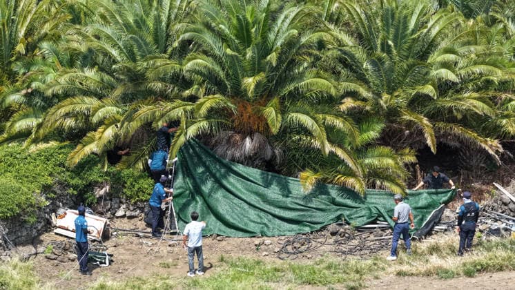 Presumed body of missing woman found Presumed body of missing woman found Investigators examine the scene at a palm tree farm in the city of Jeju on South Korea s largest island of the same name on Aug. 24, 2026, where the presumed body of a missing woman, Jang Mi-ran, was found. The discovery of the 37-year-old Jang came amid an intensive search for the missing person launched belatedly due to a police officer there prematurely, if not illegally, closing the case, allegedly without confirming her safety. (Yonhap) 2026-08-24 18:32:48 < 1980-2026 YONHAPNEWS AGENCY. .> Á¦ÁÖµµ Á¦ÁÖµµ EDITORIAL USE ONLY  Copyright: xx PYH2026082418320031500 YonhapxNewsx yonphotos255915