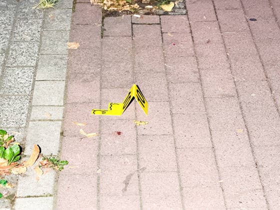 Herten: Schüsse in Café – vier Personen von Polizei abgeführt 7aIMG: 0570392 Großeinsatz an der Ewaldstraße – Blutflecken und zerbrochenes Glas vor dem Café, Straße für Ermittlungen gesperrtNordrhein-Westfalen, Herten, Deutschland *** Herten: Shots Fired in Café—Four People Taken Away by Police 7aIMG 0570392 Large-scale police operation on Ewaldstraße—bloodstains and broken glass in front of the café; street closed for investigationNorth Rhine-Westphalia, Herten, Germany Copyright: 7aktuell.dex xMarcxGruber 0570392 20260823_7a_hertensch_570392
