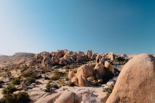 Sunny day over rock formations in Joshua Tree Joshua Tree, California, United States CR_VCOZ260812C-2065086-01 ,model released, Symbolfoto ,property released