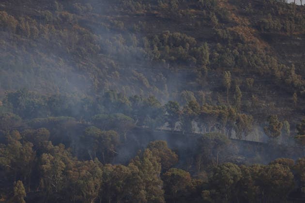 Aerial firefighting efforts battle forest fire near Trapani in Sicily, Italy TRAPANI, ITALY - AUGUST 24: Firefighting aircraft and helicopters battle a forest fire on the slopes of Mount Polizo near Trapani on the Italian island of Sicily, on August 24, 2026. Emergency teams launched an aerial operation, deployed three helicopters and two firefighting planes to contain the blaze and prevent it from spreading across the forested terrain. Alberto Lo Bianco Anadolu Trapani Italy. Editorial use only. Please get in touch for any other usage.  Copyright: x2026xAnadoluxAlbertoxLoxBiancox