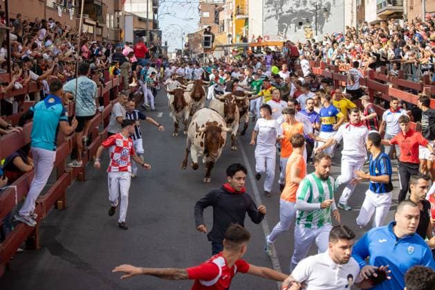 August 25, 2026, Madrid, Spain: Several runners run through a street during the first bull run of the San Sebastian de los Reyes festivities..First bull run of the San Sebastian de los Reyes festivities, a town located north of Madrid, with bulls from the Hermanos Tardeu ranch. The San Sebastian de los Reyes festivities, also known as the Sanse Festival or Little Pamplona, are celebrated in honor of the Holy Christ of the Remedies and take place every year during the last week of August. Madrid Spain - ZUMAs197 20260825_aaa_s197_005 Copyright: xDavidxCanalesx