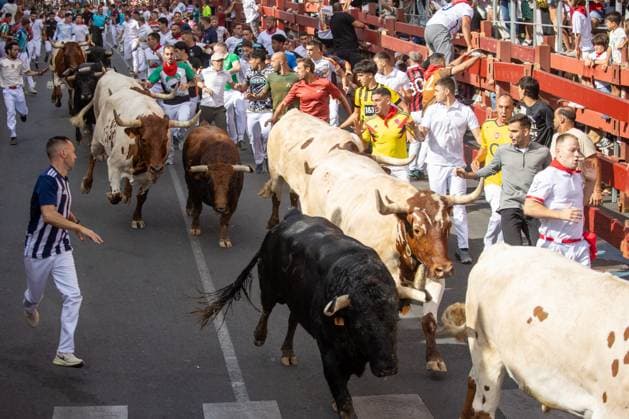 August 25, 2026, Madrid, Spain: Several runners run through a street during the first bull run of the San Sebastian de los Reyes festivities..First bull run of the San Sebastian de los Reyes festivities, a town located north of Madrid, with bulls from the Hermanos Tardeu ranch. The San Sebastian de los Reyes festivities, also known as the Sanse Festival or Little Pamplona, are celebrated in honor of the Holy Christ of the Remedies and take place every year during the last week of August. Madrid Spain - ZUMAs197 20260825_aaa_s197_010 Copyright: xDavidxCanalesx
