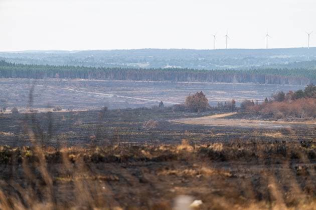 Landscape pictured at a visit at the Botrange panorama deck, in Waimes, on Tuesday 25 August 2026. European commissionner Lahbib visit several sites regarding the fire in the Hautes Fagnes (Hugh Fens) wich started on August 14th with 3000 hectares (on a total of 4500) impacted in the nature reserve.  EMILExWINDAL 184244150