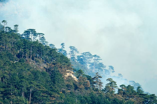 RUSSIA, REPUBLIC OF CRIMEA - AUGUST 26, 2026: Smoke rises over mountains near Yalta. The blaze, which has been burning for nearly a week, has been declared a regional nature emergency. Maxim Churusov TASS  96651352