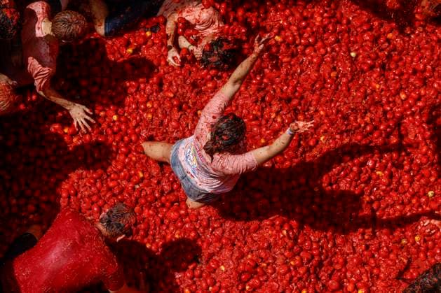 Celebration of La Tomatina in Bunol, Valencia, 2026 Several participants in the La Tomatina festival in Bunol celebrate during the event on August 26, 2026, in Bunol, Valencia, Valencian Community, Spain. La Tomatina is always held on the last Wednesday of August, as part of Bunol’s festival week, and involves participants throwing tomatoes at one another. Seven trucks were needed to transport the 150,000 kilos of tomatoes that were thrown in this unique battle, which this year celebrates its 79th anniversary. AUGUST 26, 2026 FESTIVAL TRADITION CULTURE Bunol, Valencia, Valencian Community Bunol, Valencia, Valencian Community, Spain  Copyright: xRoberxSolsonax 7732789
