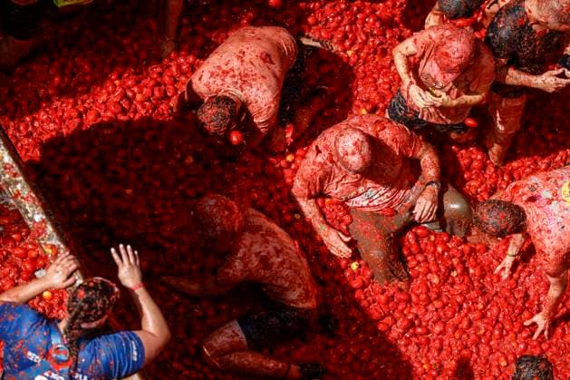 Celebration of La Tomatina in Bunol, Valencia, 2026 Several participants in the La Tomatina festival in Bunol celebrate during the event on August 26, 2026, in Bunol, Valencia, Valencian Community, Spain. La Tomatina is always held on the last Wednesday of August, as part of Bunol’s festival week, and involves participants throwing tomatoes at one another. Seven trucks were needed to transport the 150,000 kilos of tomatoes thrown during this unique battle, which celebrates its 79th anniversary this year. AUGUST 26, 2026 FESTIVAL TRADITION CULTURE Bunol, Valencia, Valencian Community Bunol, Valencia, Valencian Community, Spain  Copyright: xRoberxSolsonax 7732781