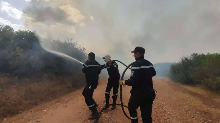 Algeria battles scores of wildfires that have killed 12, injured dozens JIJEL, ALGERIA - AUGUST 28: (----EDITORIAL USE ONLY - MANDATORY CREDIT - ALGERIAN GENERAL DIRECTORATE OF CIVIL PROTECTION HANDOUT - NO MARKETING NO ADVERTISING CAMPAIGNS - DISTRIBUTED AS A SERVICE TO CLIENTS----) Algerian Civil Protection firefighters and emergency personnel conduct ground operation to battle a raging forest fire in the mountainous countryside near Jijel, Algeria, on August 28, 2026. Sixty-four wildfires were still burning across 10 Algerian provinces on Friday, most of them in the eastern Jijel province, after authorities extinguished 110 out of 174 fires that erupted nationwide over the past 24 hours. Algerian General Directorate of Civil Protecti  Copyright: x2026xAnadoluxAlgerianxGeneralxDirectoratexofxCivilxProtectionx xHandoutx