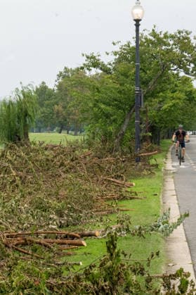 August 28, 2026, Washington, Dc, USA: Work crews have begun cutting down trees in the East Potomac Golf Course in Washington, D.C. on August 28, 2026. Officials say this is routine maintenance, but others fear President Trump is moving to renovate the golf course without the proper approval process. Washington USA - ZUMAl312 20260828_znp_l312_017 Copyright: xAndrewxLeydenx
