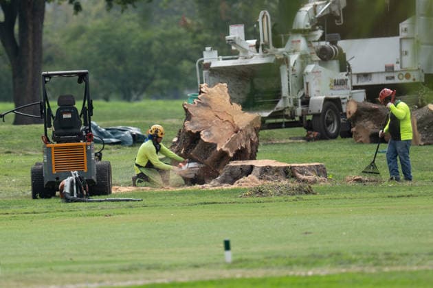 August 28, 2026, Washington, Dc, USA: Work crews have begun cutting down trees in the East Potomac Golf Course in Washington, D.C. on August 28, 2026. Officials say this is routine maintenance, but others fear President Trump is moving to renovate the golf course without the proper approval process. Washington USA  - ZUMAl312 20260828_znp_l312_023 Copyright: xAndrewxLeydenx