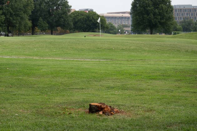 August 28, 2026, Washington, Dc, USA: Work crews have begun cutting down trees in the East Potomac Golf Course in Washington, D.C. on August 28, 2026. Officials say this is routine maintenance, but others fear President Trump is moving to renovate the golf course without the proper approval process. Washington USA - ZUMAl312 20260828_znp_l312_027 Copyright: xAndrewxLeydenx