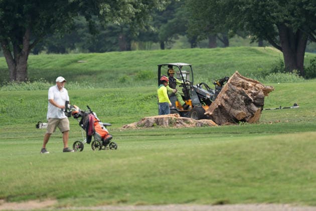 August 28, 2026, Washington, District of Columbia, USA: Work crews have begun cutting down trees in the East Potomac Golf Course. Officials say this is routine maintenance, but others fear President Trump is moving to renovate the golf course without the proper approval process. Washington USA - ZUMAl312 20260828_znp_l312_020 Copyright: xAndrewxLeydenx