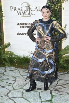 Maisie Williams at arrivals for PRACTICAL MAGIC 2 Premiere, Directors Village Westwood Theater - American Cinematheque, Los Angeles, CA, August 31, 2026. Photo By: Elizabeth Goodenough Everett Collection PRACTICAL MAGIC 2 Premiere PUBLICATIONXNOTxINxCANxCHNxFRAxITAxJPNxNORxPOLxRUSxESPxUKxUSA