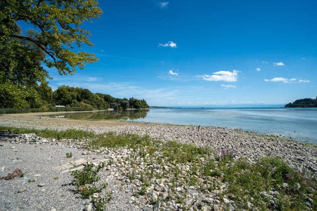 Bodensee-Waserstand so niedrig wie selten: Riesige Schlickflächen an der Insel Mainau liegen frei - Bald Wat-Touren möglich? 7aIMG: 0571403 KONSTANZ INSEL MAINAU: Historisches Niedrigwasser am Bodensee - Große Schlickflächen rund um die Blumeninsel liegen frei Der Bodensee führt in diesem Sommer außergewöhnlich wenig Wasser, und rund um die Insel Mainau bei Konstanz werden die Folgen besonders eindrucksvoll sichtbar. Aktuelle Aufnahmen vom Sonntagnachmittag (30.08.2026) zeigen großflächig trockengefallene Uferbereiche und Schlickflächen sowie die ungewöhnlich weit zurückgewichene Wasserlinie. Der Sommer 2026 hat am Bodensee bereits mehrere historische Niedrigwassermarken gebracht. Am Pegel Konstanz wurden Mitte August lediglich 275 Copyright: 7aktuell.dex xOskarxEyb 0571403 20260831_7a_BodenseeLow_571403