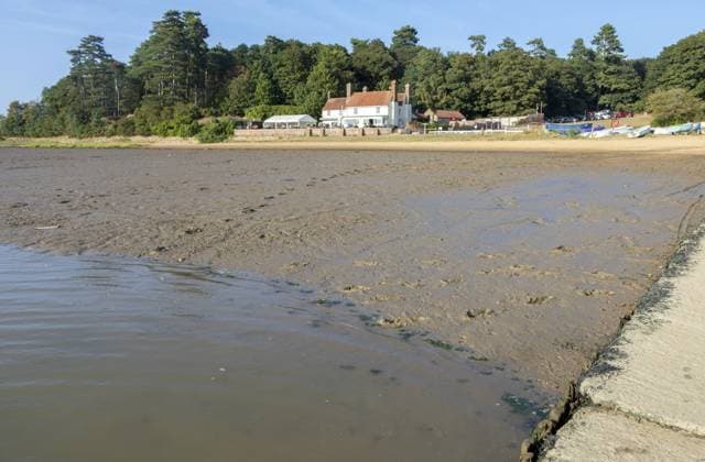 Schlamm und Sandstrand bei Ebbe, Ramsholt Arms Public House, Fluss Deben, Ramsholt, Suffolk, England, Großbritannien Mud and sandy beach at low tide, Ramsholt Arms public house, River Deben, Ramsholt, Suffolk, England, UK Copyright: imageBROKER IanxMurray iblimu18848958.jpg