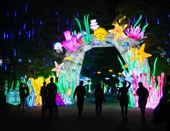 (260902) -- TORONTO, Sept. 2, 2026 -- Guests view light installations during the opening ceremony of the Glow in the Wild show at the Toronto Zoo in Toronto, Canada, on Sept. 1, 2026. (Photo by Xinhua) CANADA-TORONTO-LIGHT INSTALLATIONS-SHOW ZouxZheng 