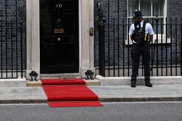 Downing Street s mascot Larry spotted during Macron s visit LONDON, UNITED KINGDOM - SEPTEMBER 3: A squirrel is seen near 10 Downing Street during French President Emmanuel Macron s visit to the Prime Minister s Office in London, United Kingdom, on September 3, 2026. Rasid Necati Aslim Anadolu London United Kingdom. Editorial use only. Please get in touch for any other usage.  Copyright: x2026xAnadoluxRasidxNecatixAslimx
