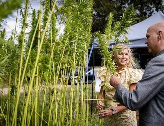 HENGELO - Queen Maxima during a visit to a fiber hemp grower as part of a working visit to the Achterhoek focused on biobased construction and making buildings more sustainable. SEM VAN DER WAL ANP netherlands out - belgium out  Copyright: xx x566955071x originalFilename: 566955071.jpg