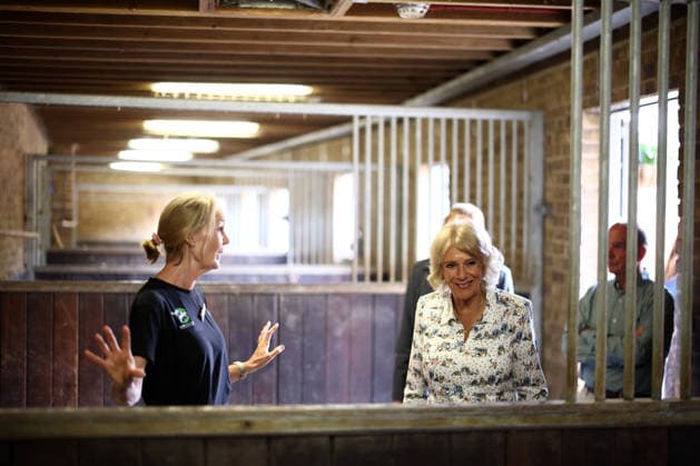 Queen Camilla visits Ebony Horse Club Britain s Queen Camilla is shown around the stables during her visit to the Ebony Horse Club in south London on September 3, 2026, to mark the youth charity and community riding centre s 30th anniversary., Credit:HENRY NICHOLLS PA ROTA - B68 Avalon United Kingdom, London  Copyright: xHENRYxNICHOLLSx xPAxROTAx-xB68x xAvalonx 1130433081