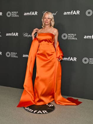 IPA88208054 - Venice, 83rd Venice International Film Festival 2026 - Night 5 - AMFAR Red Carpet. Pictured: Pamela Anderson  Copyright: xSimonexComix xPoolxPhotoxEventsx08x 88208054