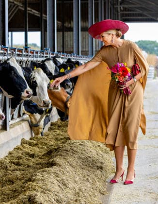 08-09-2026 Drenthe Queen Maxima visited the diary farm of the family Riedstra-Hoving in Veenhuizen, Drenthe. Â  Copyright: xPPEx